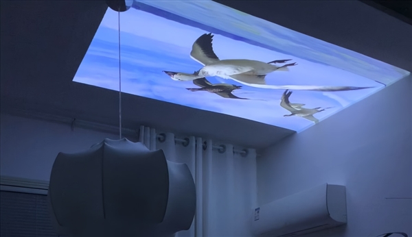 推荐：当贝Smart1打造专属影音小天地j9九游会入口2025年宿舍投影仪选购(图6)